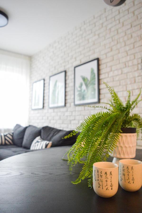 The Black & White Oasis Beograd Ngoại thất bức ảnh
